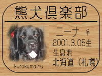 �I���E�j�[�i�̂����񂳂��BLOG��GO!